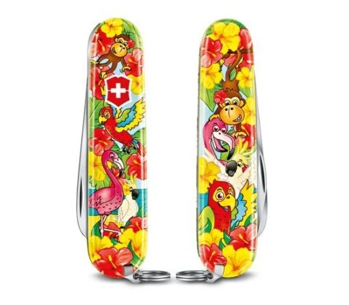 Victorinox 0.2373.E3 My First Victorinox Parrot Set -Messerwelt Verkauf 454599a2efe939054e5a78dd79f96806